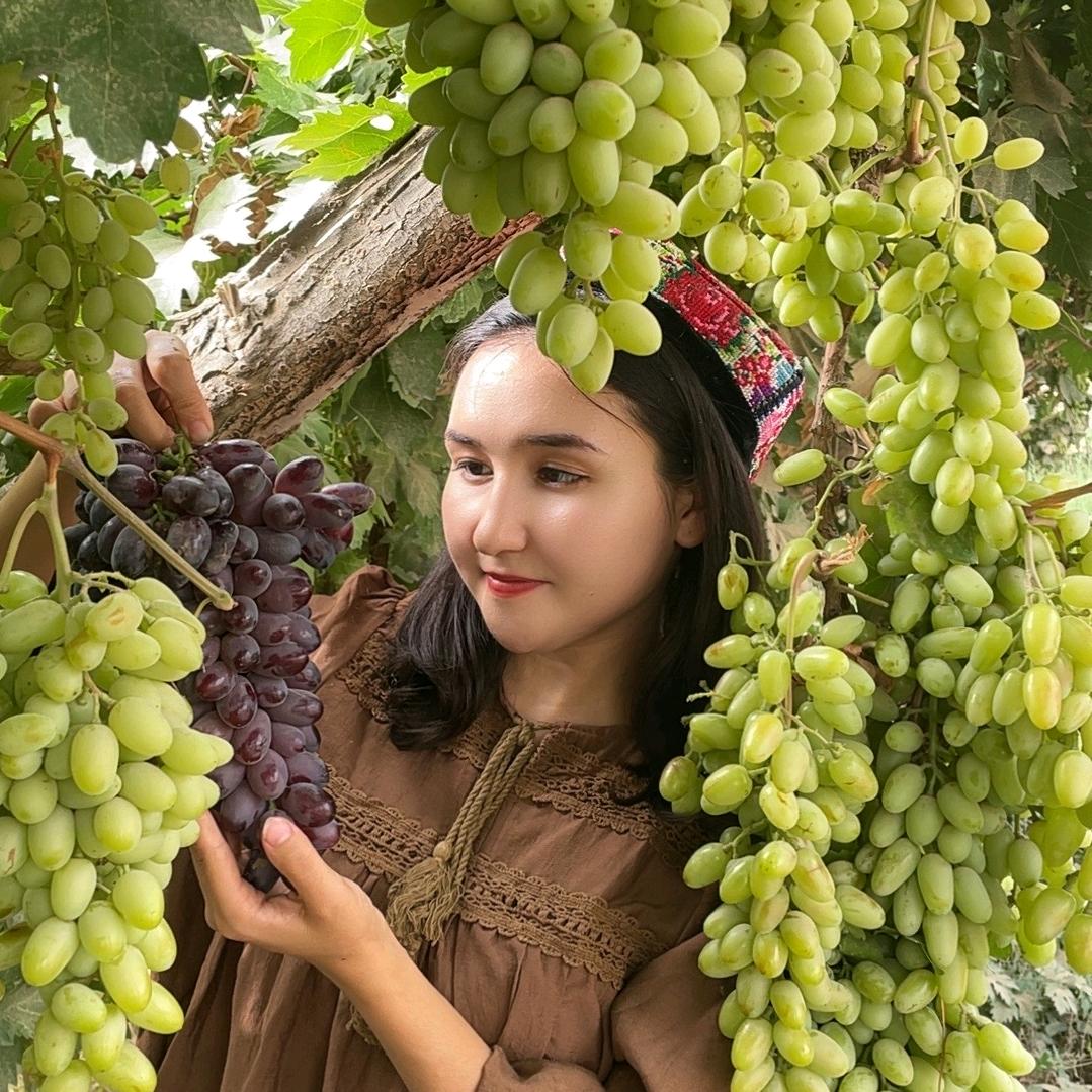 新疆美娜