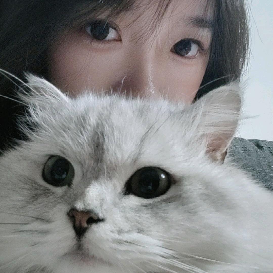 小鹿
