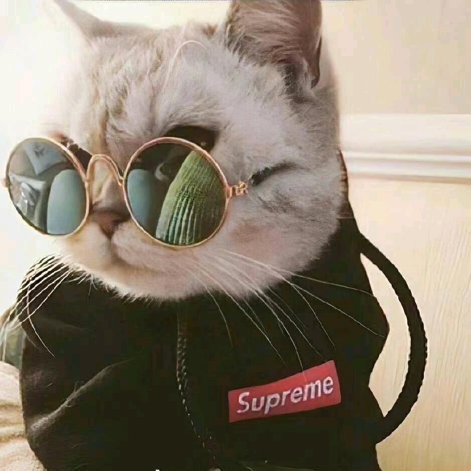 @ღ听说糖💞很甜ღ☽