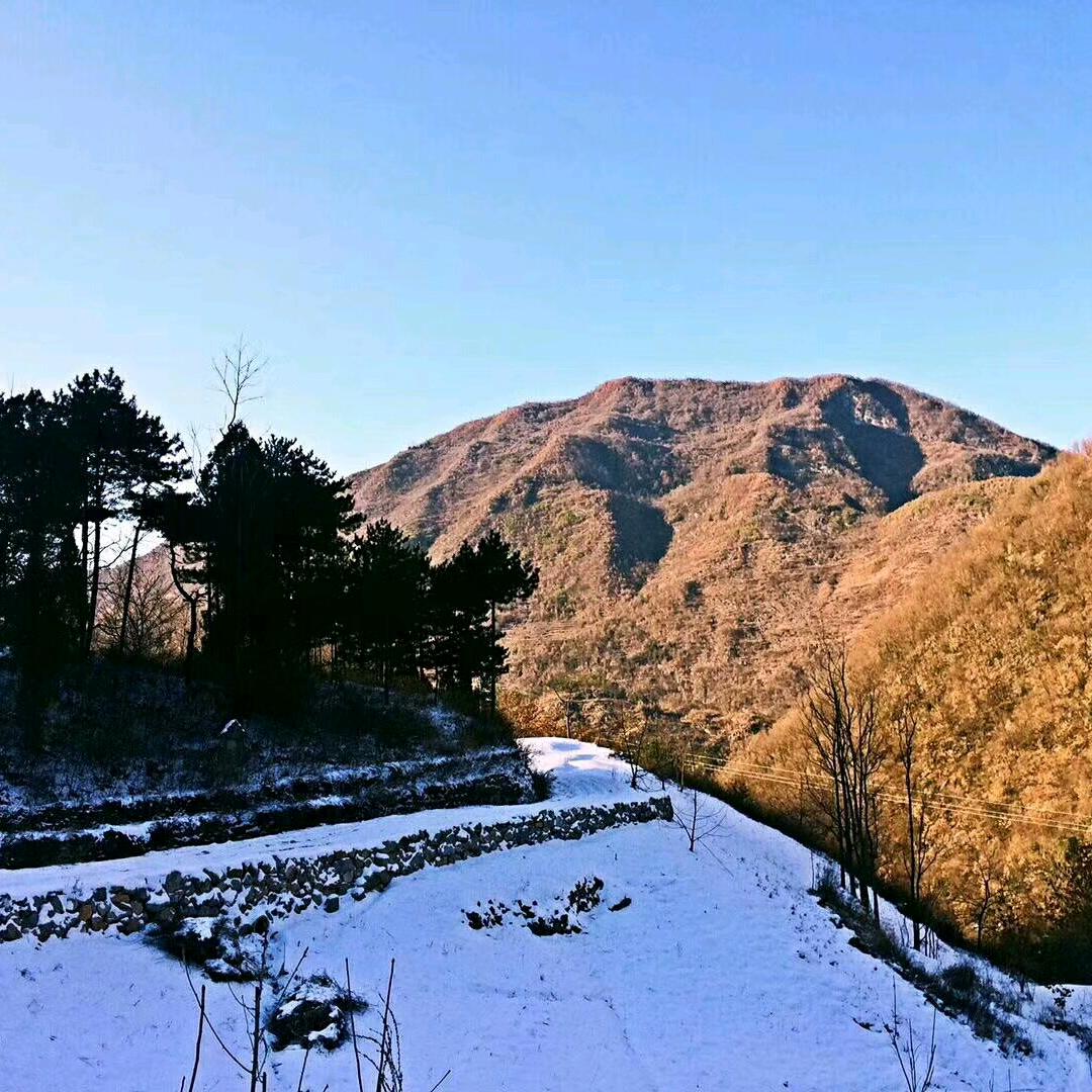 ☘️Ꮥʋŉಽℎỉŉℯ☘️