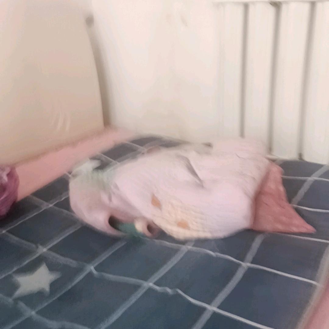 风雨飘洒