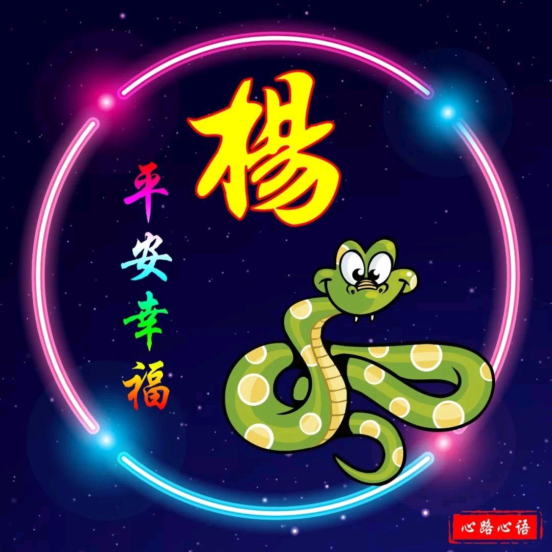楊yang