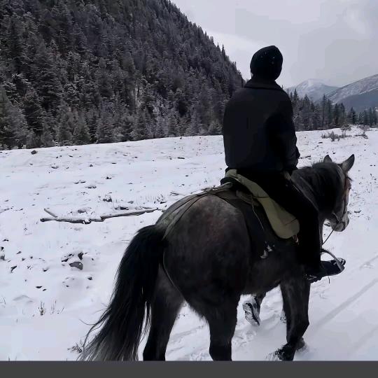 屹嘉游泳健身MR高
