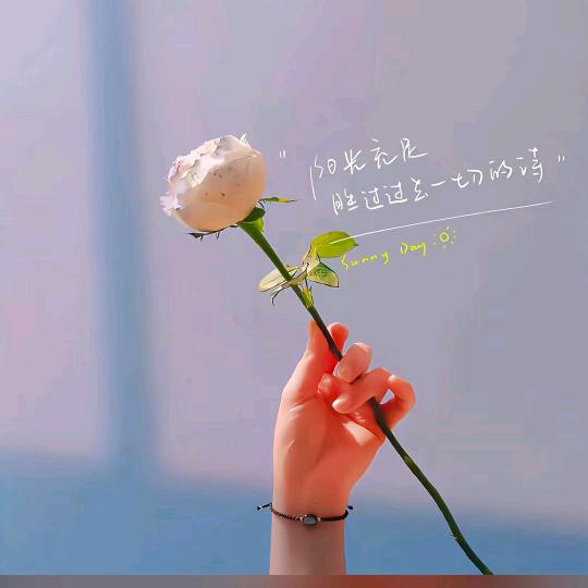 天皓集团