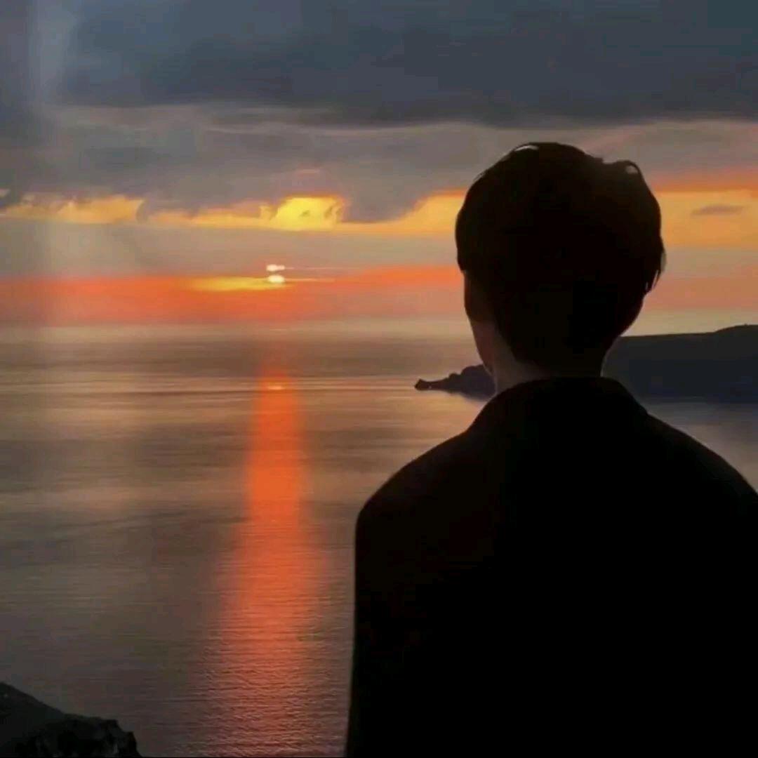 归  鹤