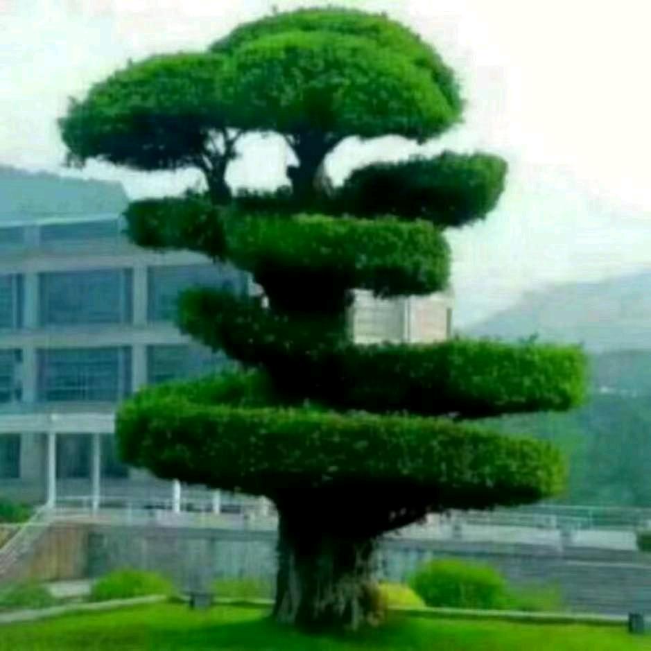 追求