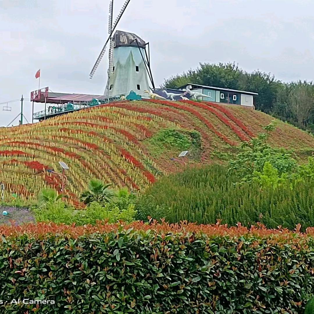 向阳而生，逆风而行