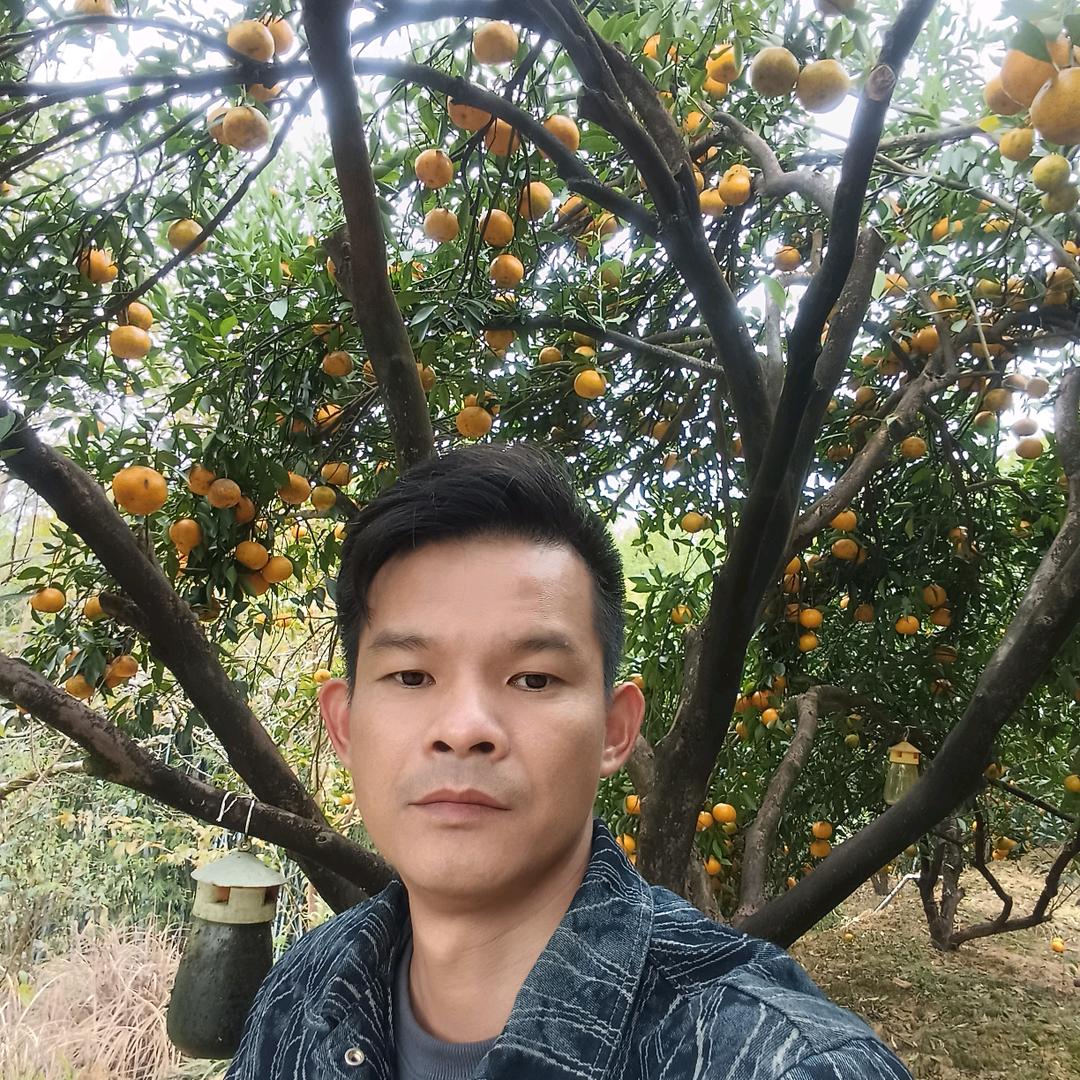 浦北老树陈皮，批发零售