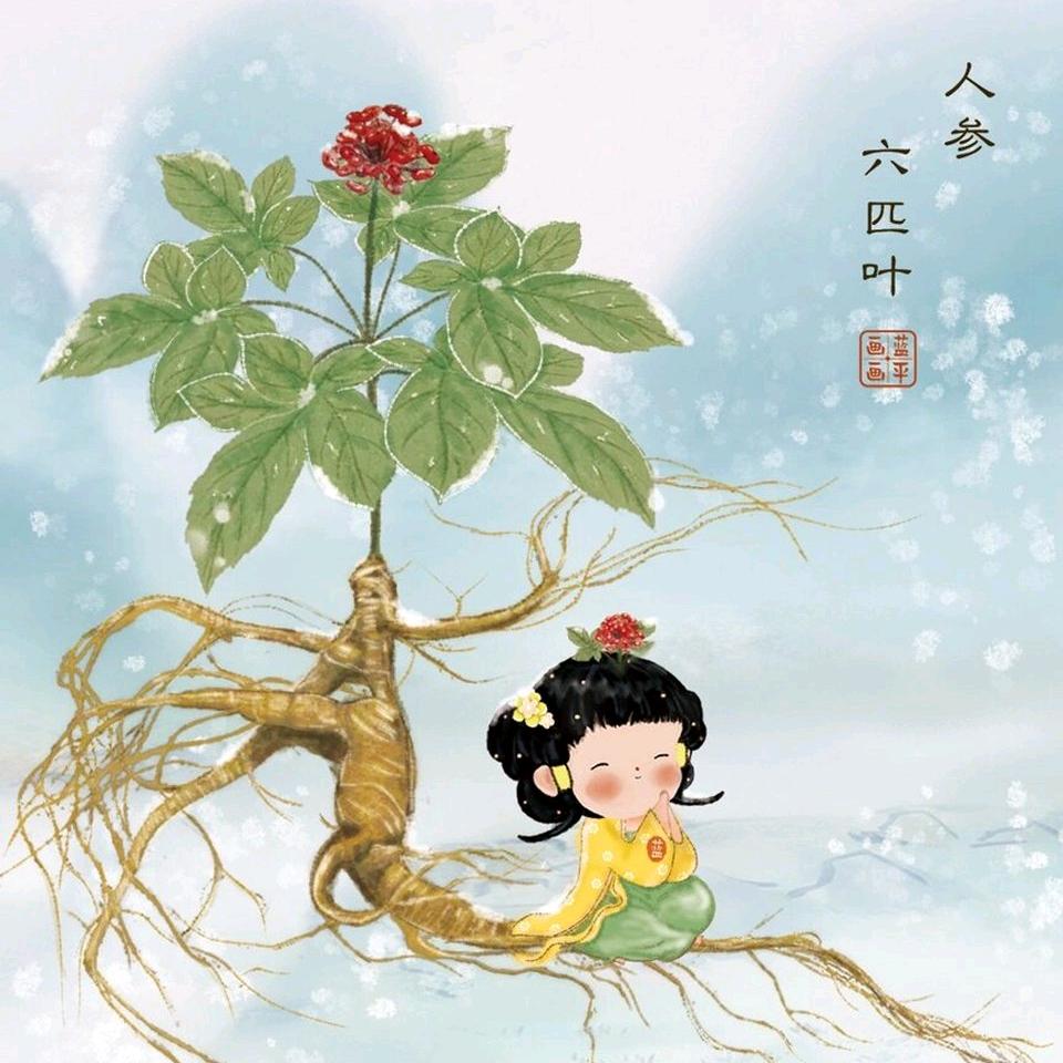 启东 珍草堂（熟五谷杂粮）