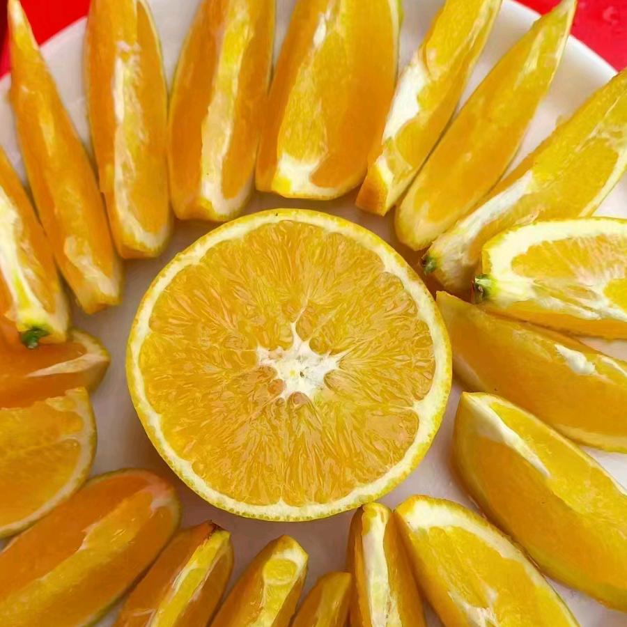 赣南鲜又甜脐橙