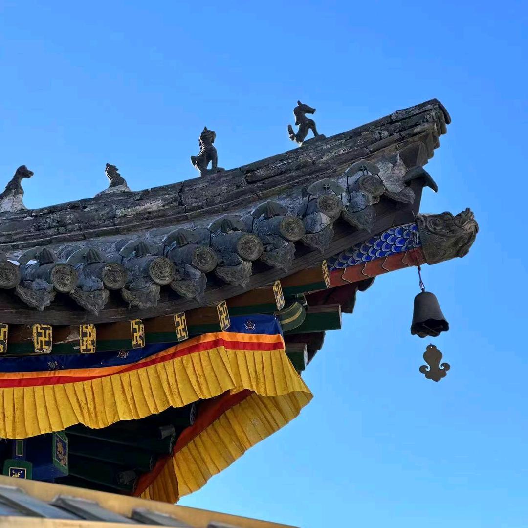 狼脸狗腚 徐先生