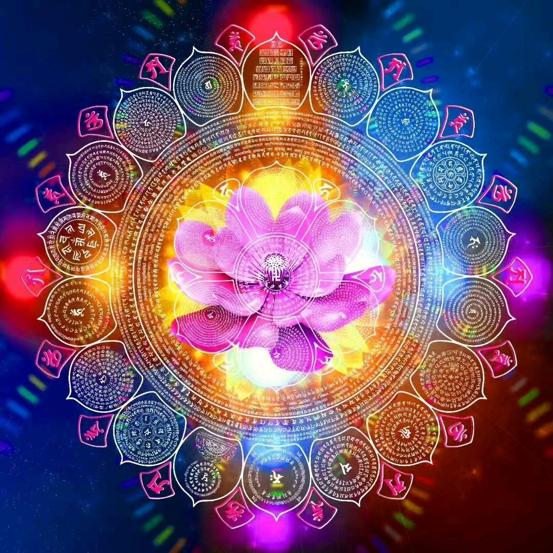 洋🌺