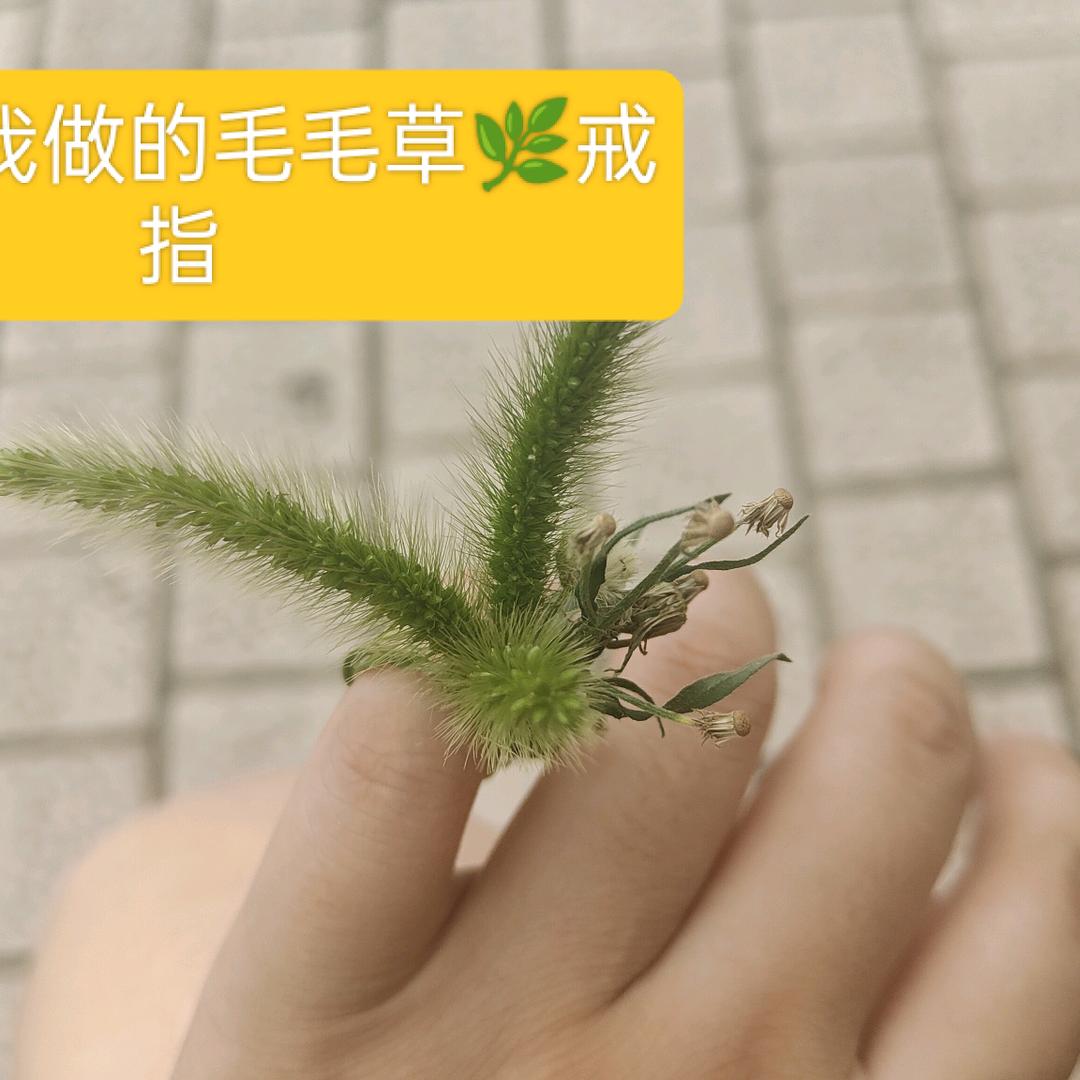 青柠8877头像