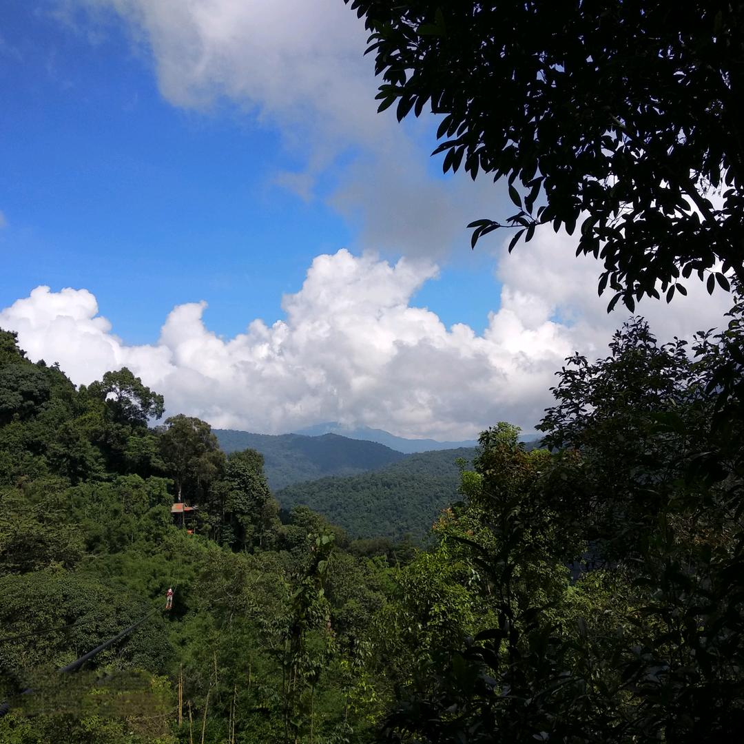 木木木木木成森、(农村别墅设计施工)