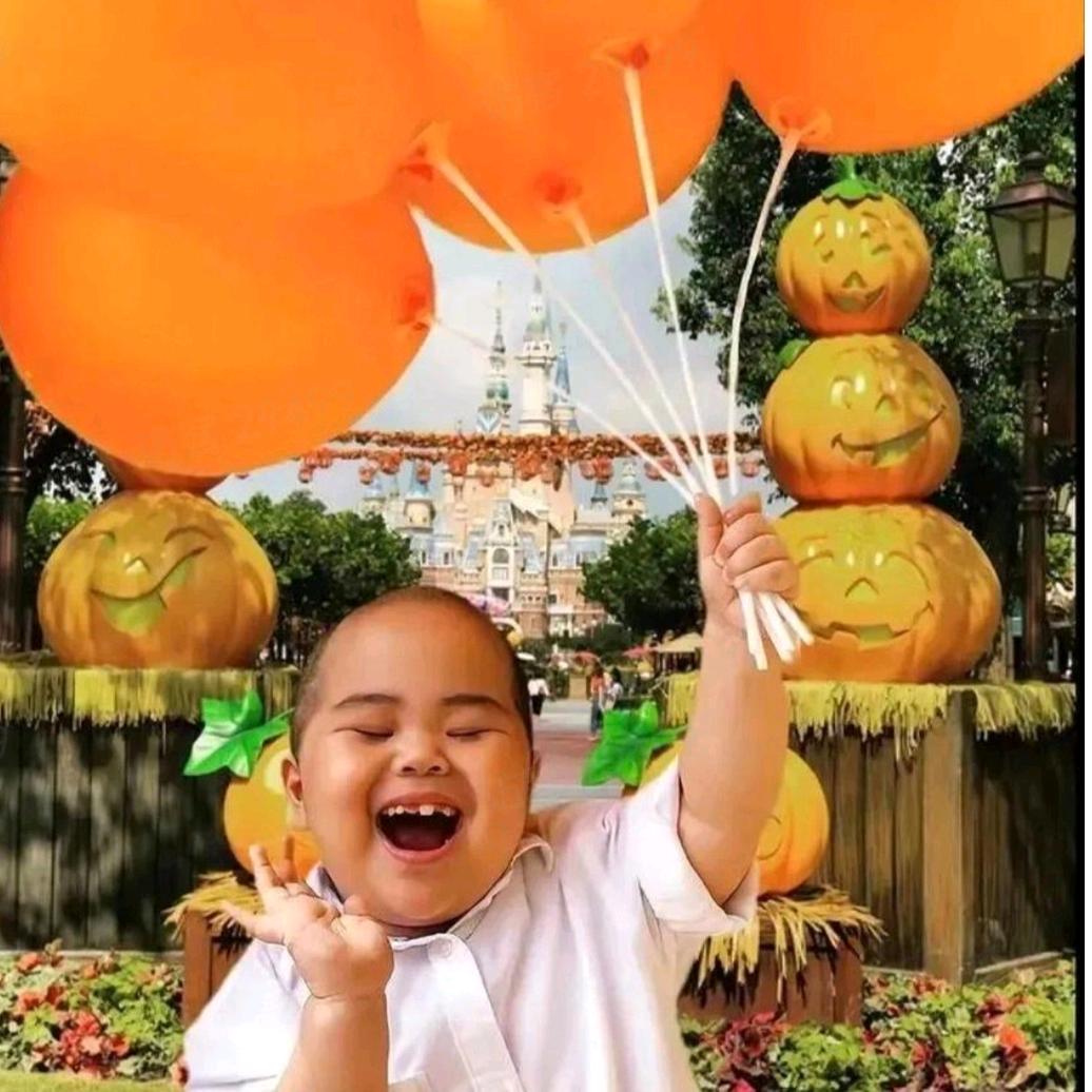 鸣乘的快乐日常