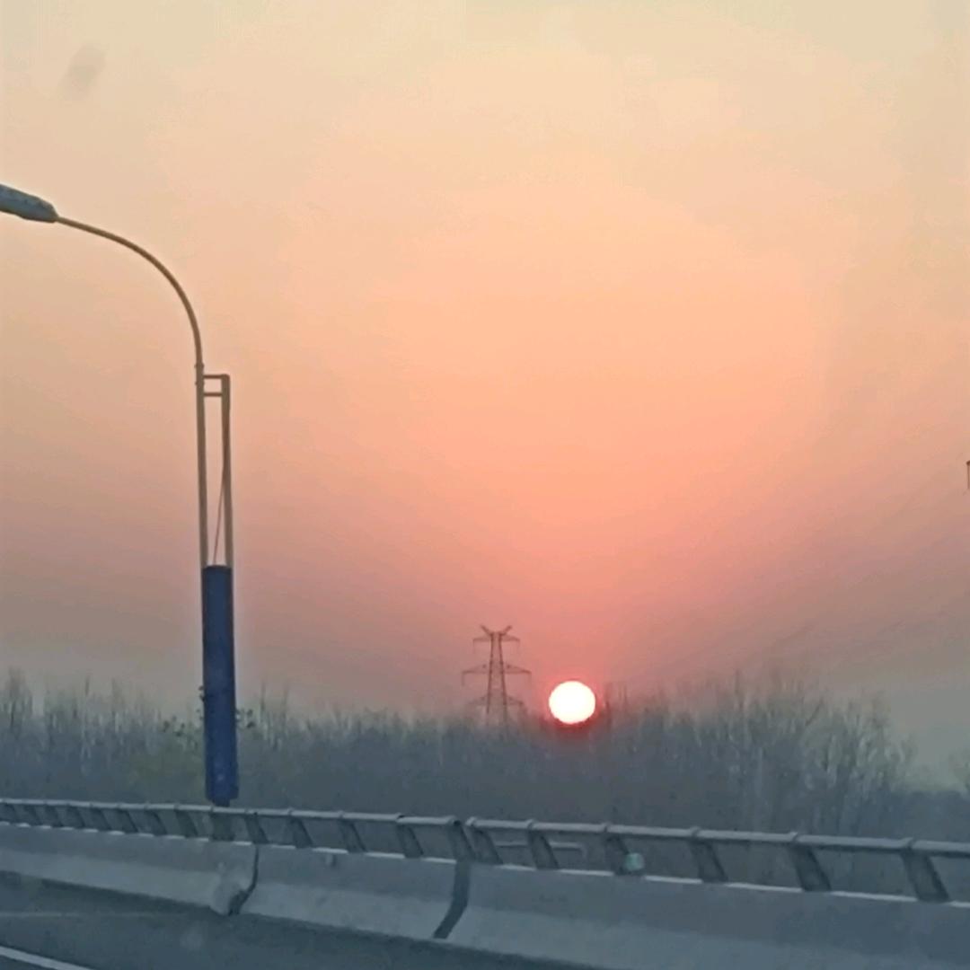 【红枫】自由自在