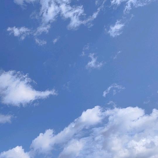 张小美
