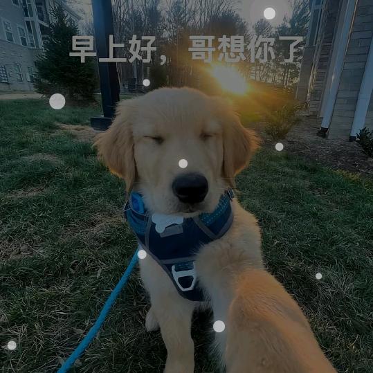 🈚
