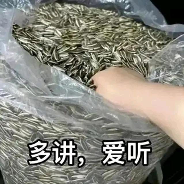 四季如歌*.*情意洁⁹²⁴⁵