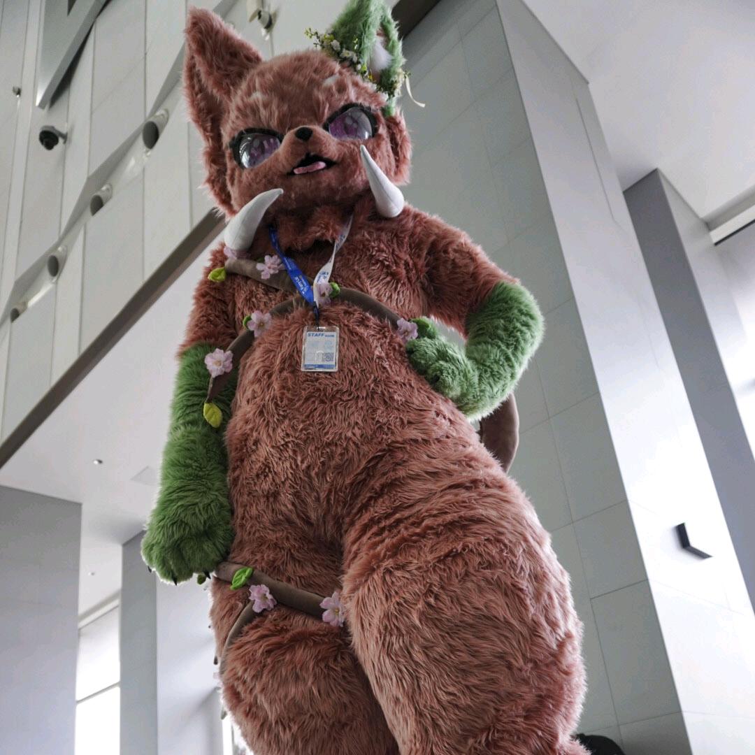 元飒&中药&霍无朽