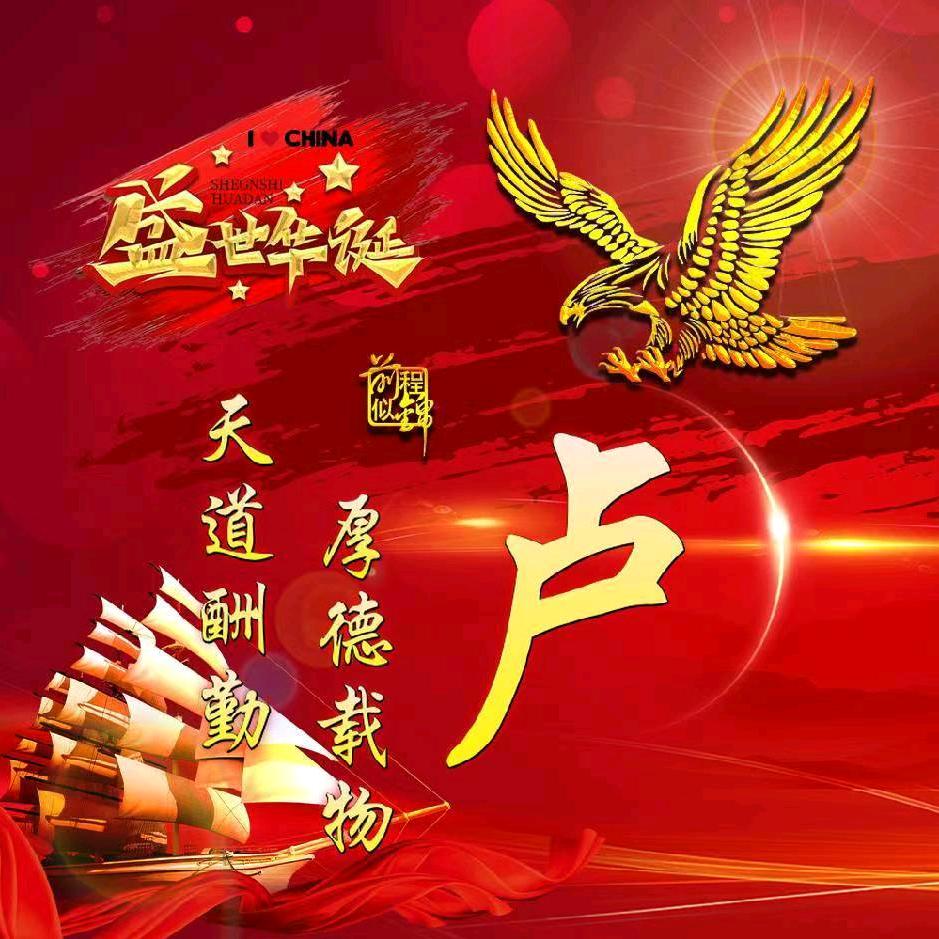 一盧有࿐你