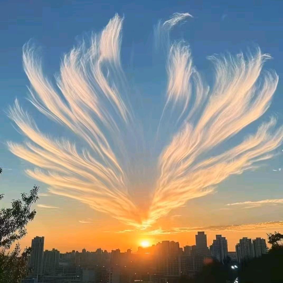 ღ᭄ꦿ꯭如ঞৣঁ愿পღ᭄