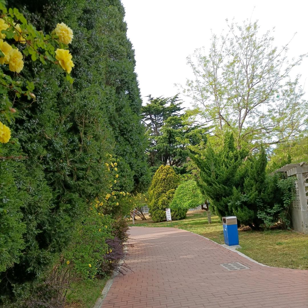 月亮味的奶茶铺