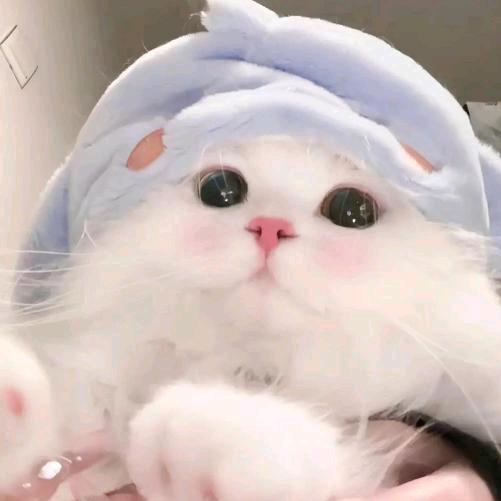 洛洛为糯糯