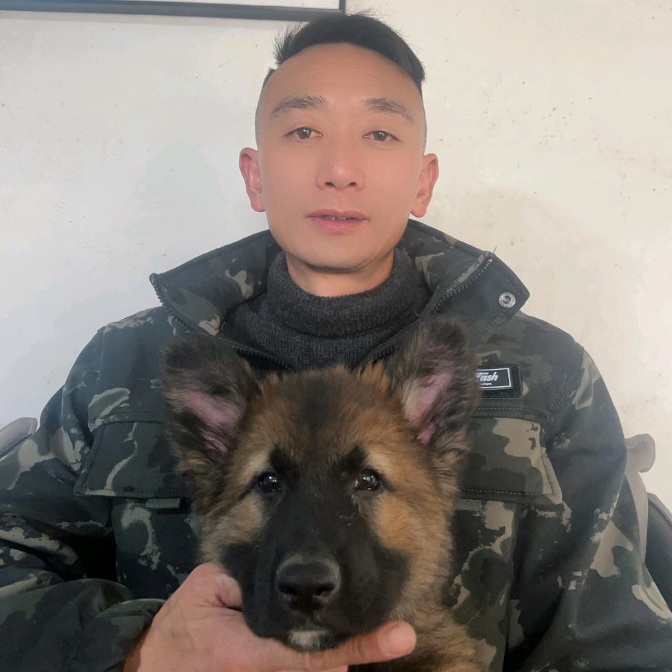 csv龙妍犬舍