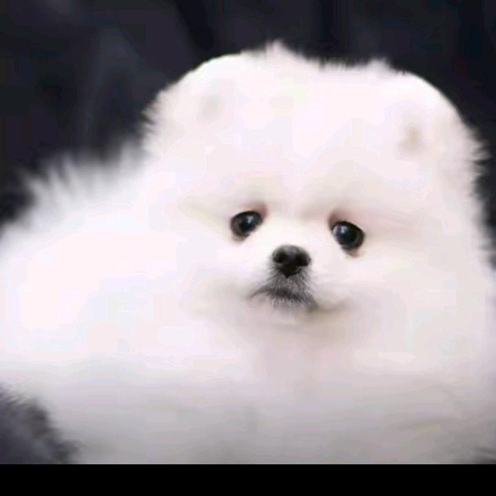 ꧁ꦾ 回忆🦋💞🌇以前ꦾ꧂