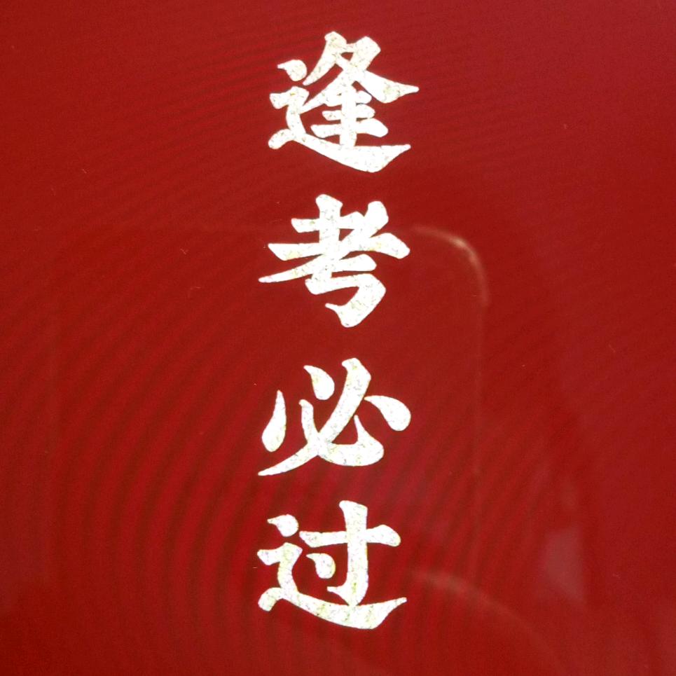 何荷与柚子