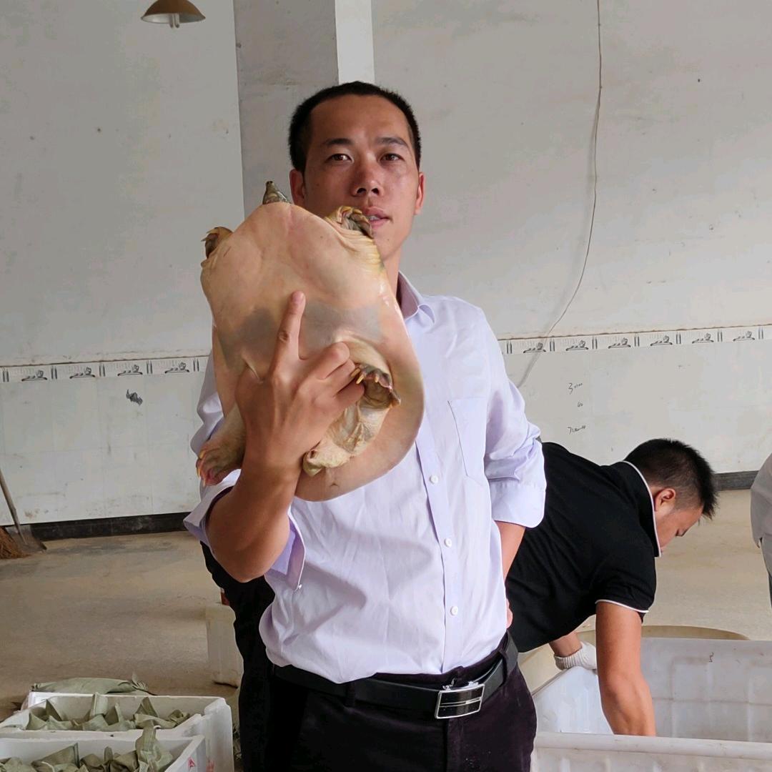 贺州德琳龟鳖种苗养殖基地