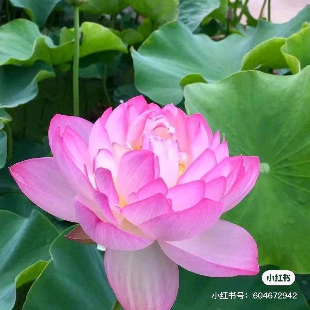 快快乐乐