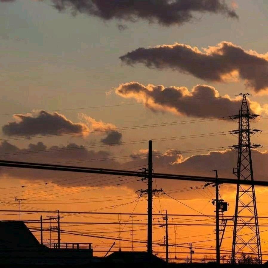 轩.