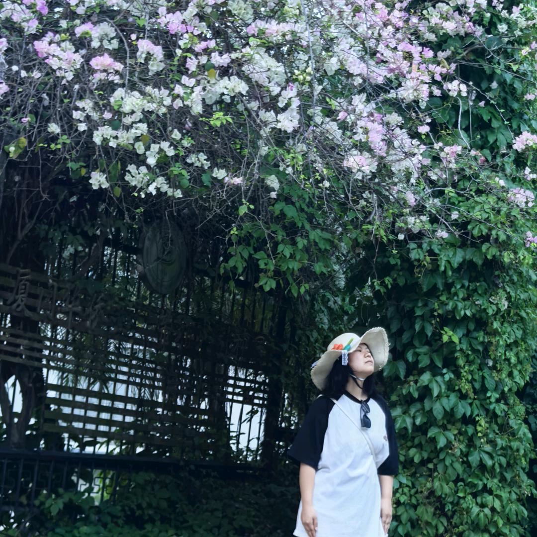 破茧成蝶