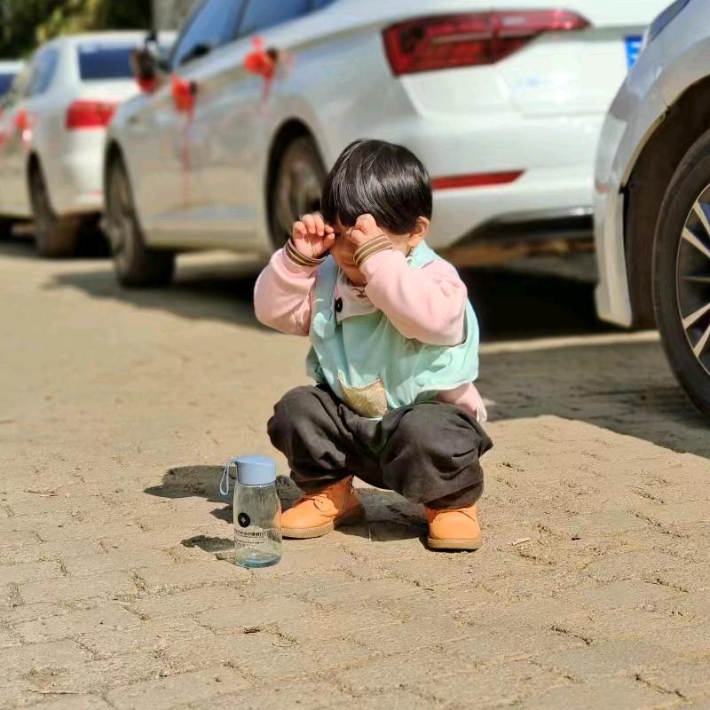 豪豪