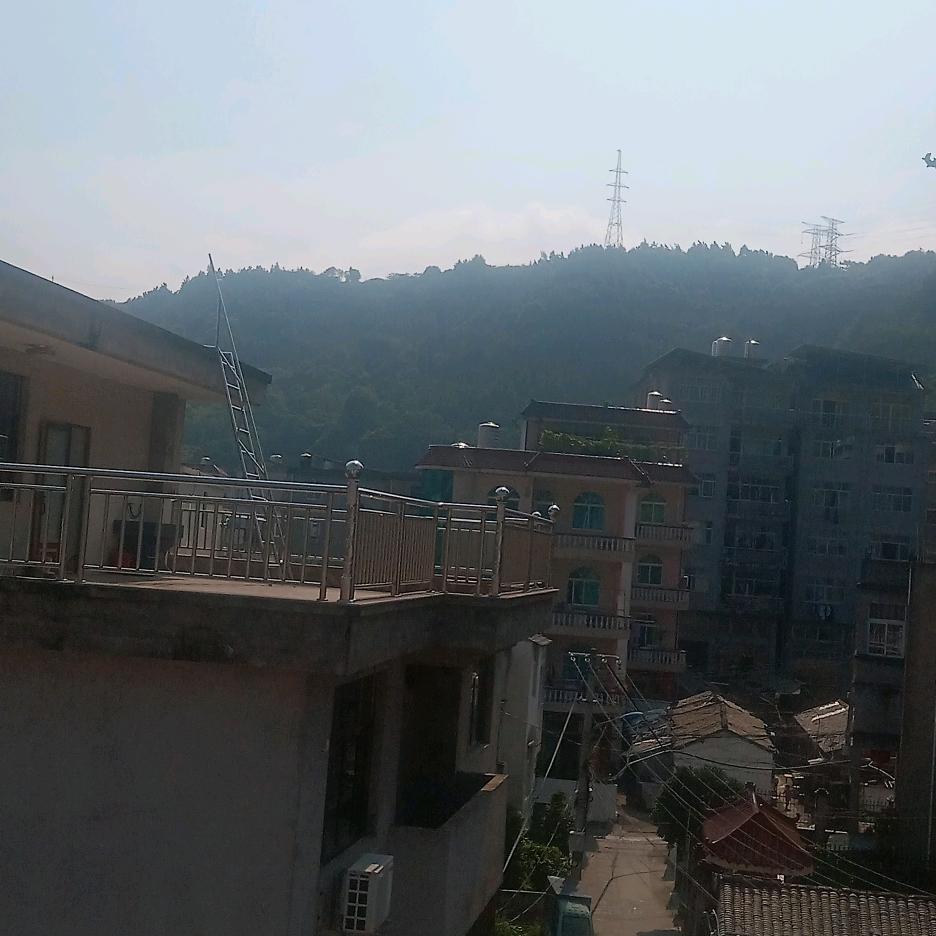 南阳人在台州