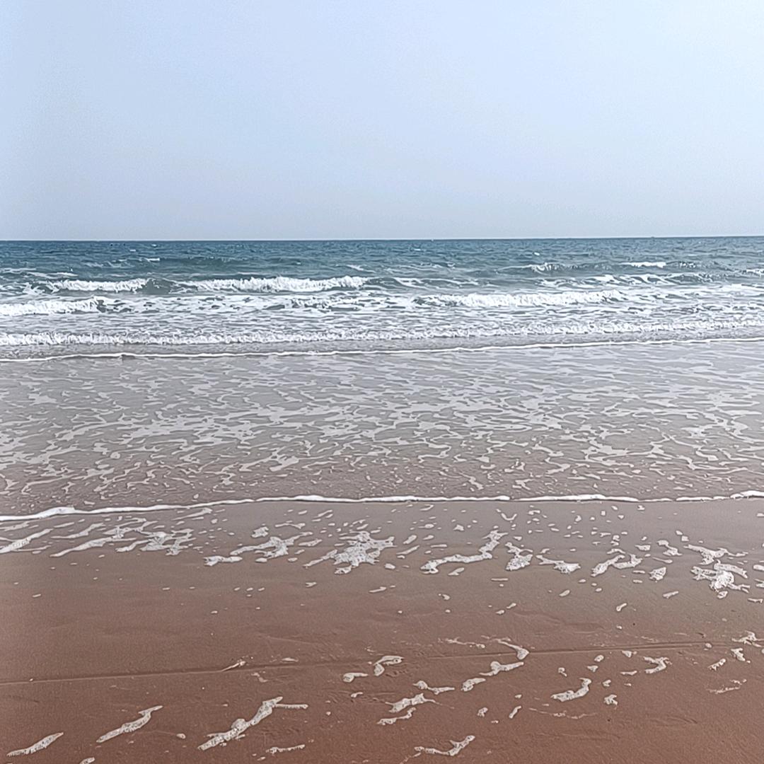 🥰芳🥰草亦倾心）