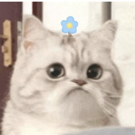 包包给你租好房