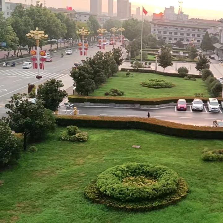 小鸡冰凉