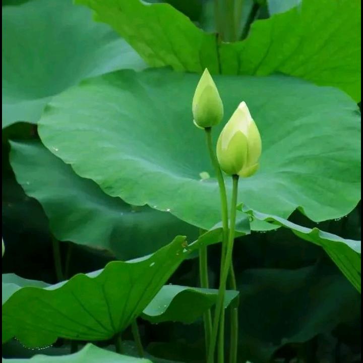 水到渠成