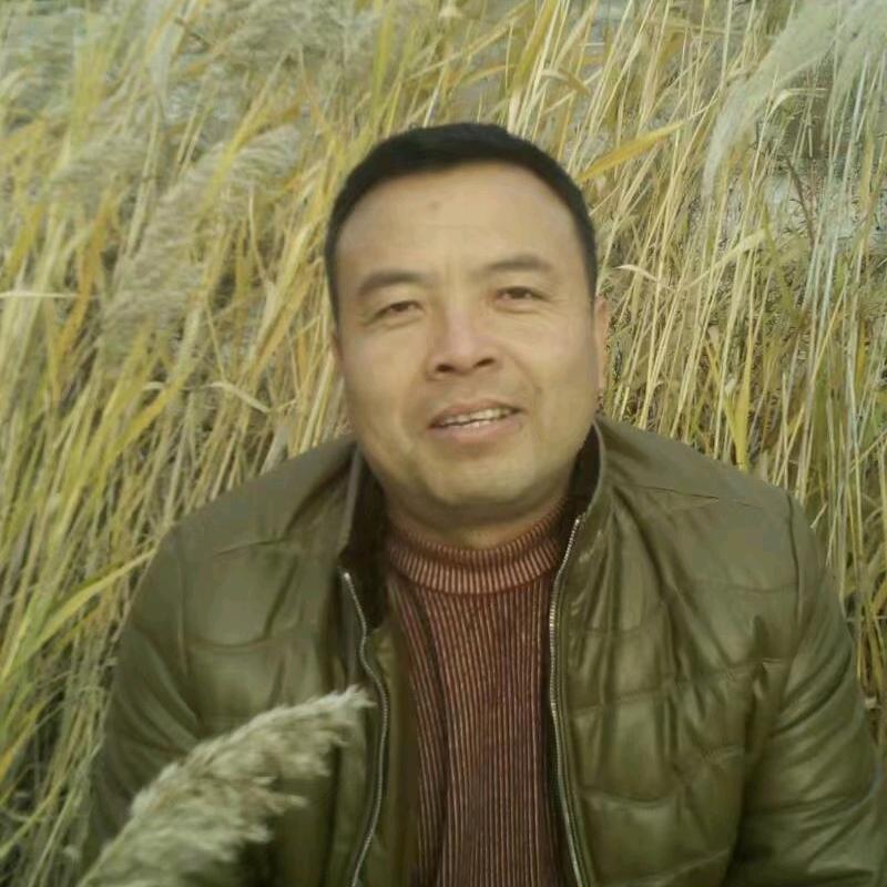 梦飞