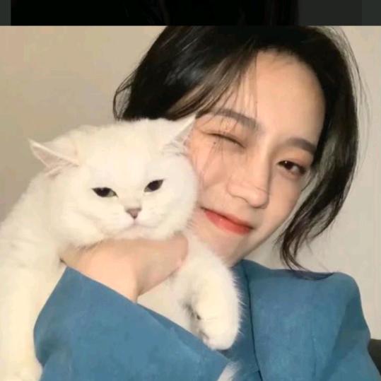 雄英短剧爆仓机