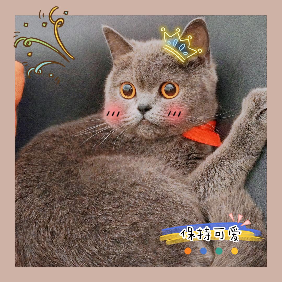 木子李准备瘦30斤（还有2/3💖）