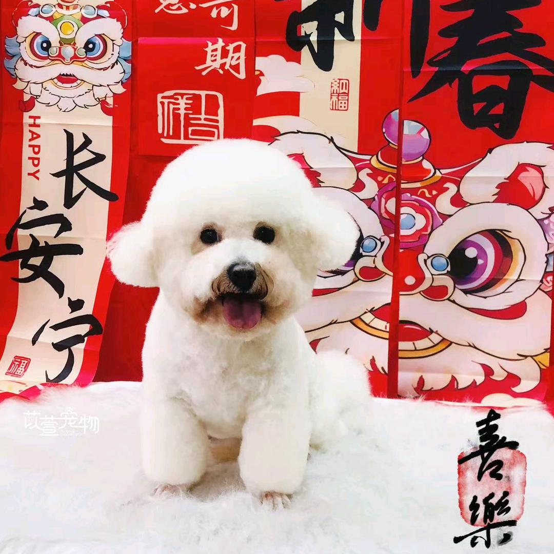 指日可待