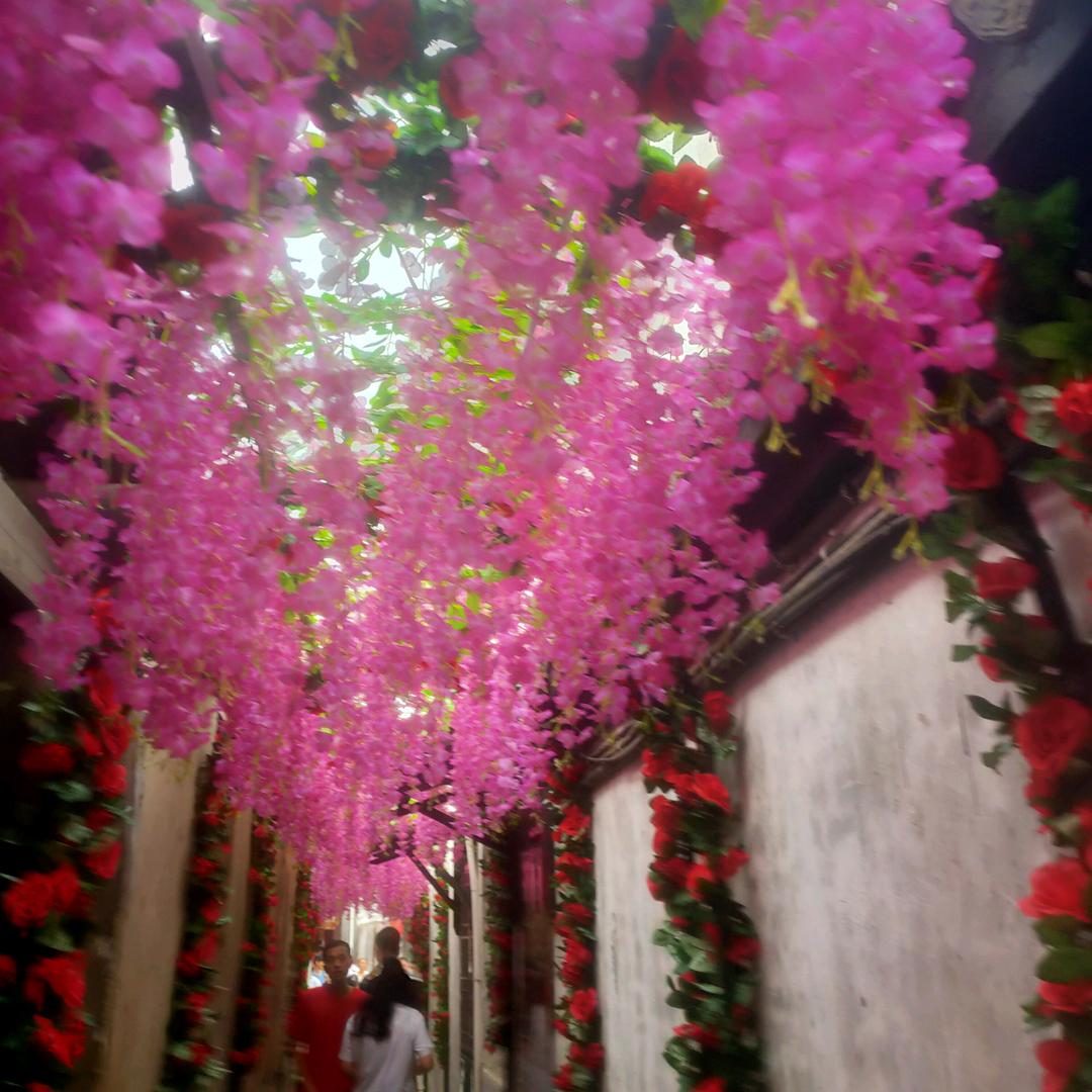 爱上你云南人在江苏漂泊的日子