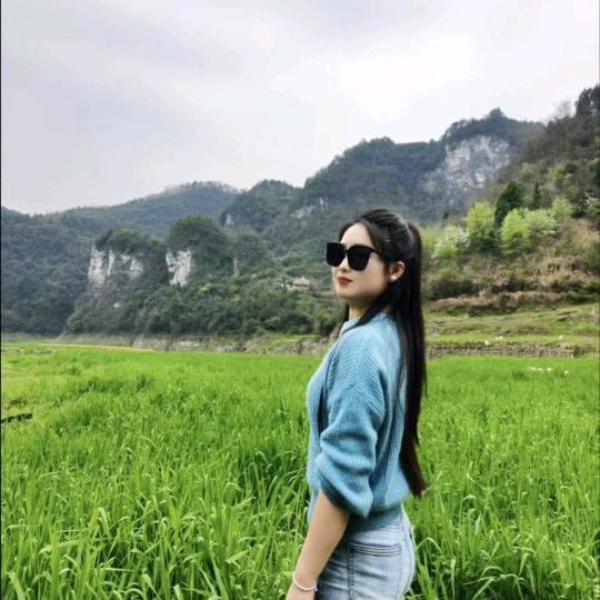 凤凰阿拉 (博雅装饰画匾）