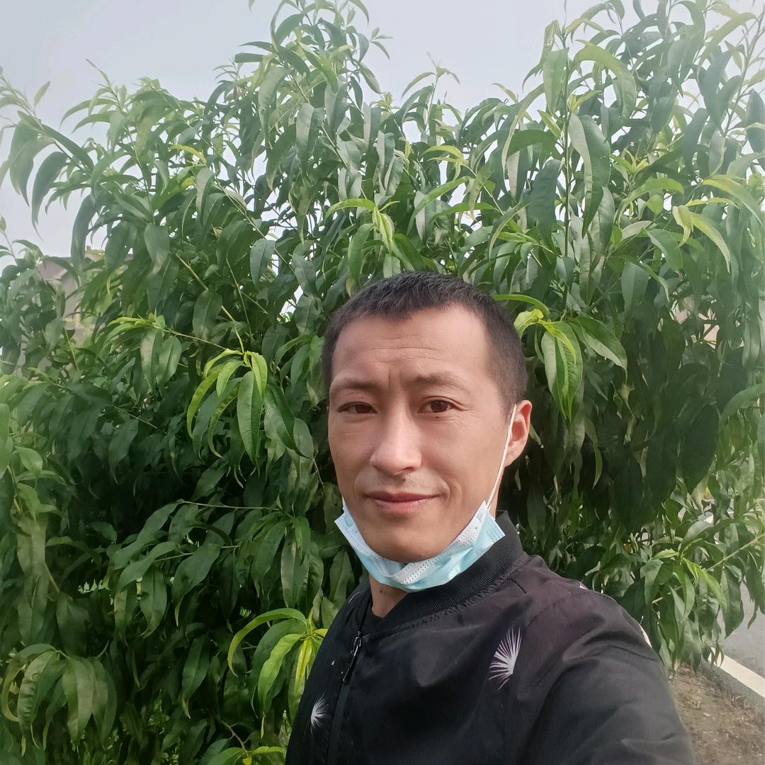 家乡美