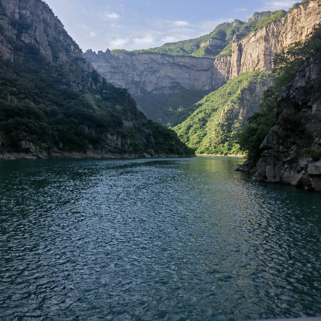 红鲤鱼与绿鲤鱼与驴