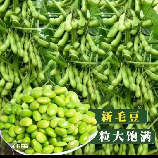 好成绩